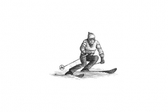 Downhill-Skier-S-Noble
