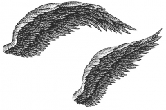 Eagle Wings