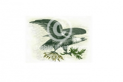 Eagle-art-Steven-Noble