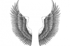 Eagle_s-Wing-Art