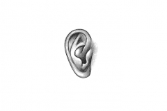 Ear_Icon