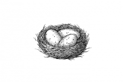 Egg-Nest-art