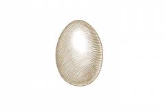 Egg-art