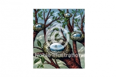 Egg_Nests