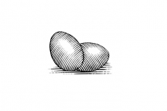 Eggs art