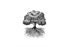 Environment-1