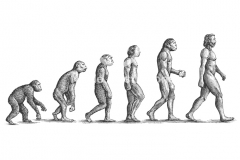 Evolution