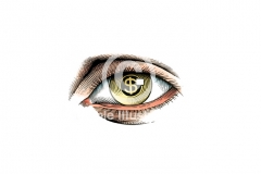 Eye
