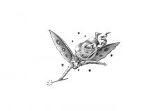 Fairy-art