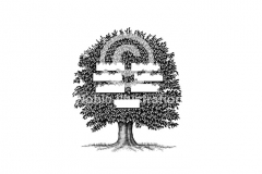 Family-Tree-art