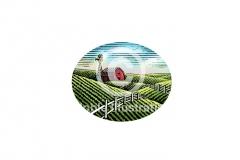 Farm-Scene-hills