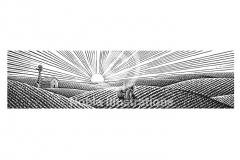 Farm-Scene-stock
