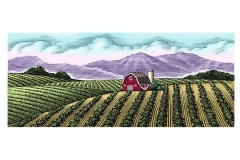 Farm_Fields
