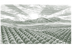 Farm_Orchards
