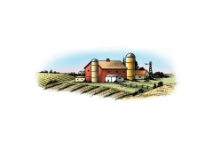 Farm_fields 2