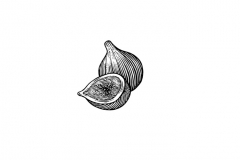 Fig-Chutney-art