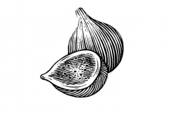 Figs Icon