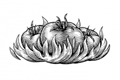 Flaming-Tomatoes-