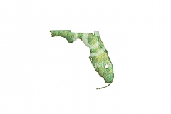 Florida-State-art-4