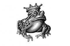 Frog-Prince