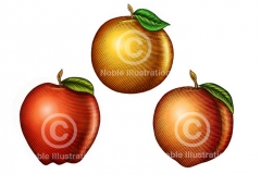 Fruit-Illustrations