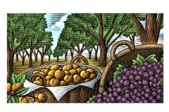 Fruit_Orchard_