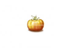 Garden_Tomato