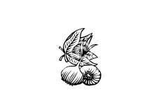 Garlic-amp-Basil