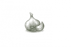 Garlic-art-001