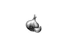 Garlic-art-9