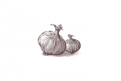 Garlic-art