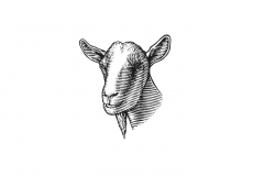 Goat-art-2