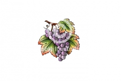 Grapes 2