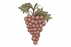 Grapes-Woodcut-
