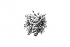 Grapes-stock