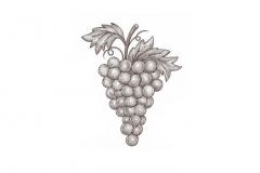 Grapes_2