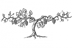 Grapevine Tree