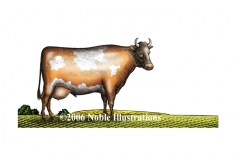 Grazing_Cow_stock