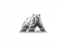 Grizzly-Bear