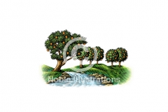 Grove