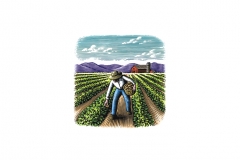 Harvest-worker