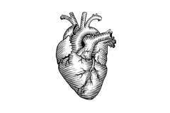 Heart art