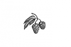 Hops_stock