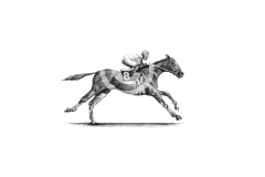 Horse-Jockey-art