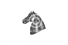 Horse_bust