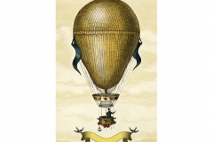 Hot Air Balloon