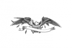 Injured-Eagle