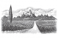 Italian-Vineyards