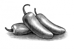 Jalapenos-art