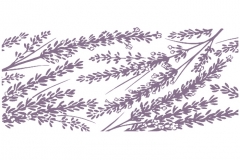 Lavender-branches
